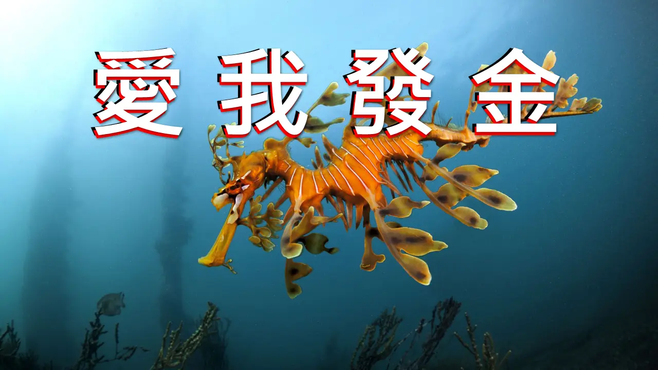 刮刮樂_獎項圖片