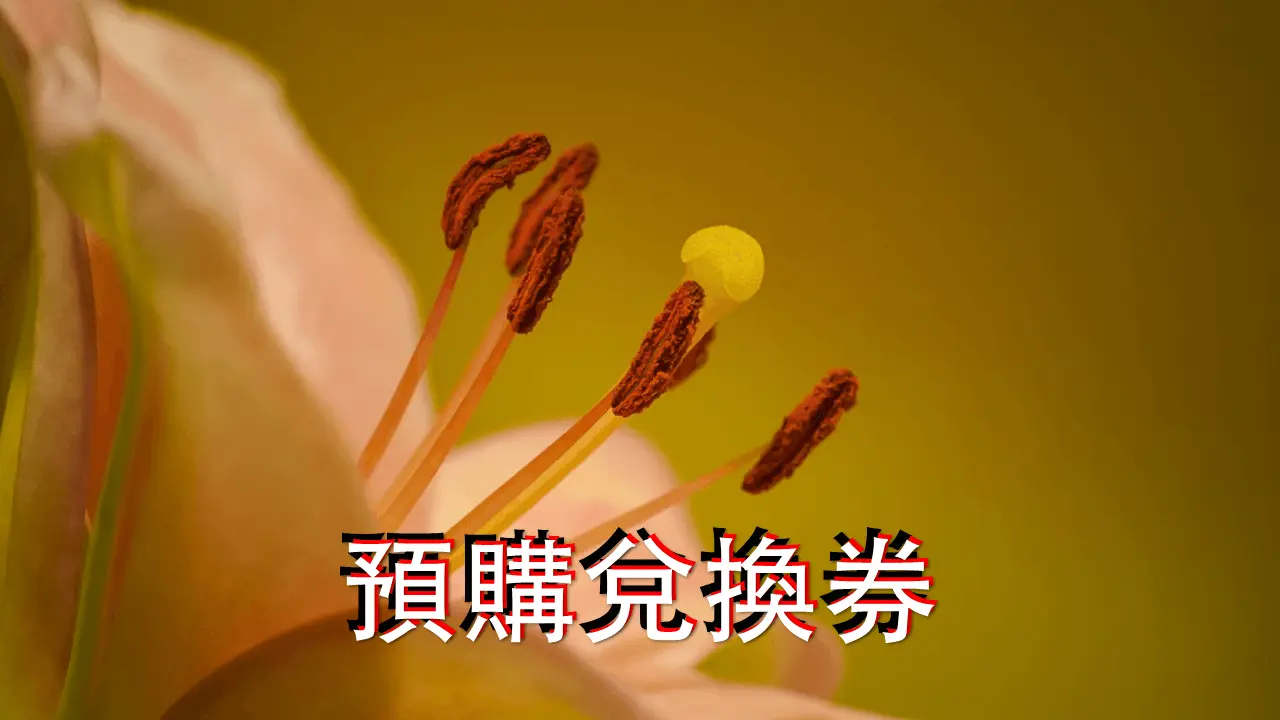 您專屬的_促銷活動網站影片封面