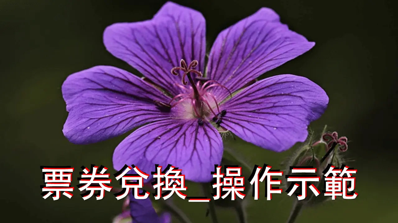 品牌介紹說明圖片